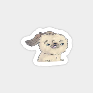 Shihpoo Sticker